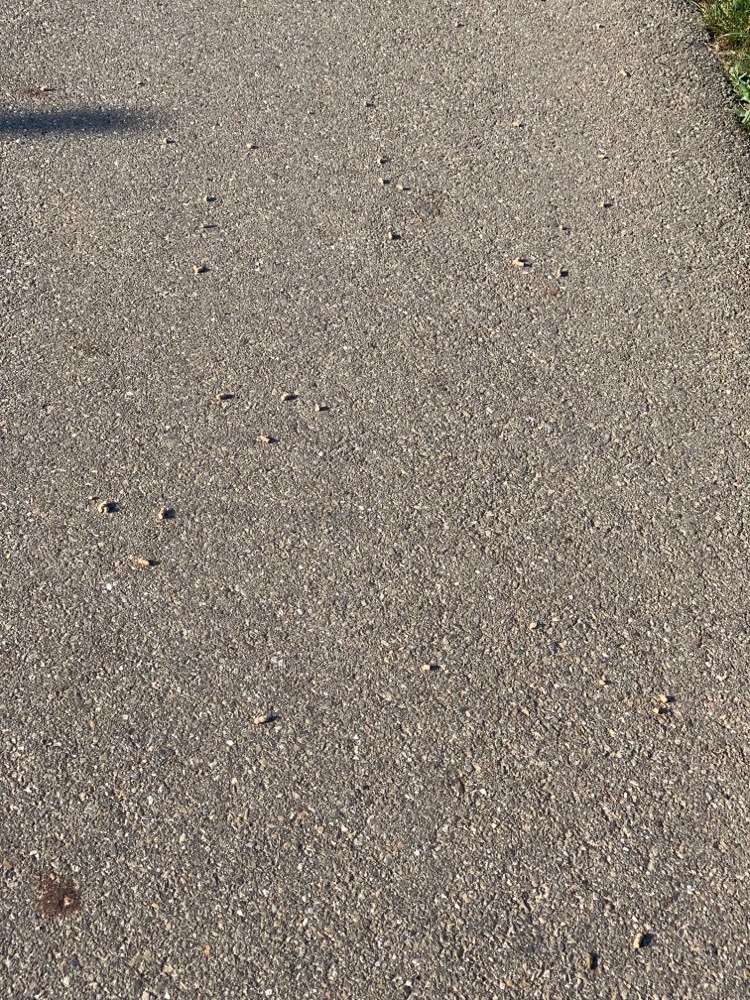 Giftköder-Verdächtiges Streu/Futter-Profilbild