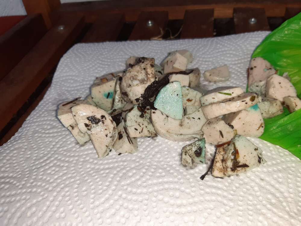 Giftköder-Giftköder-Profilbild