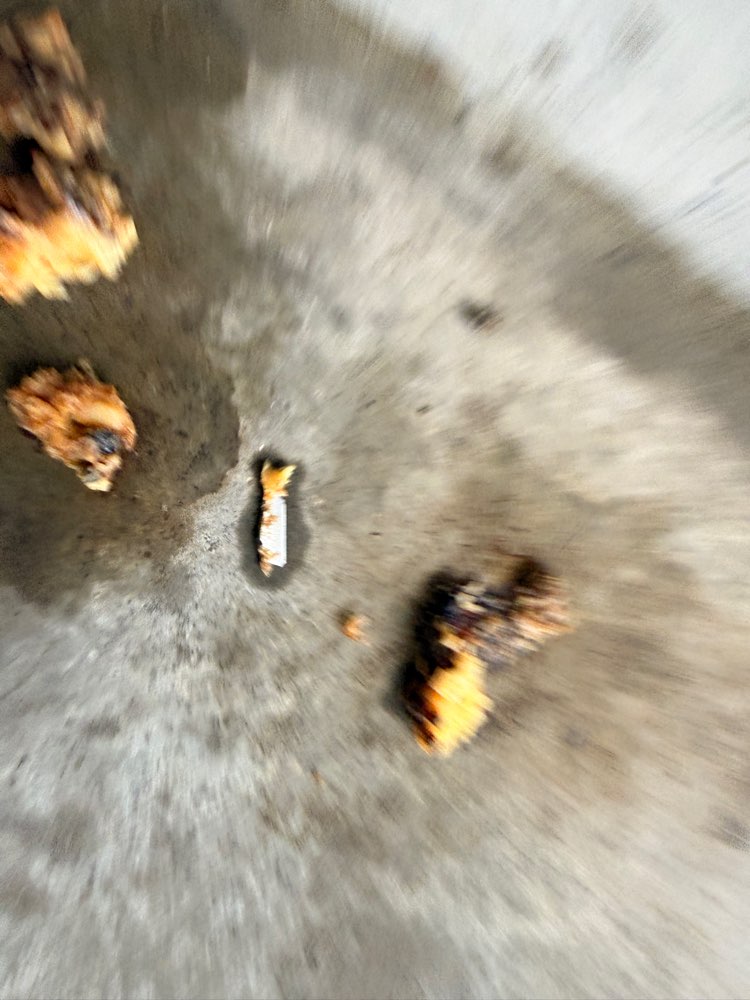 Giftköder-Köder mit Klingen-Profilbild