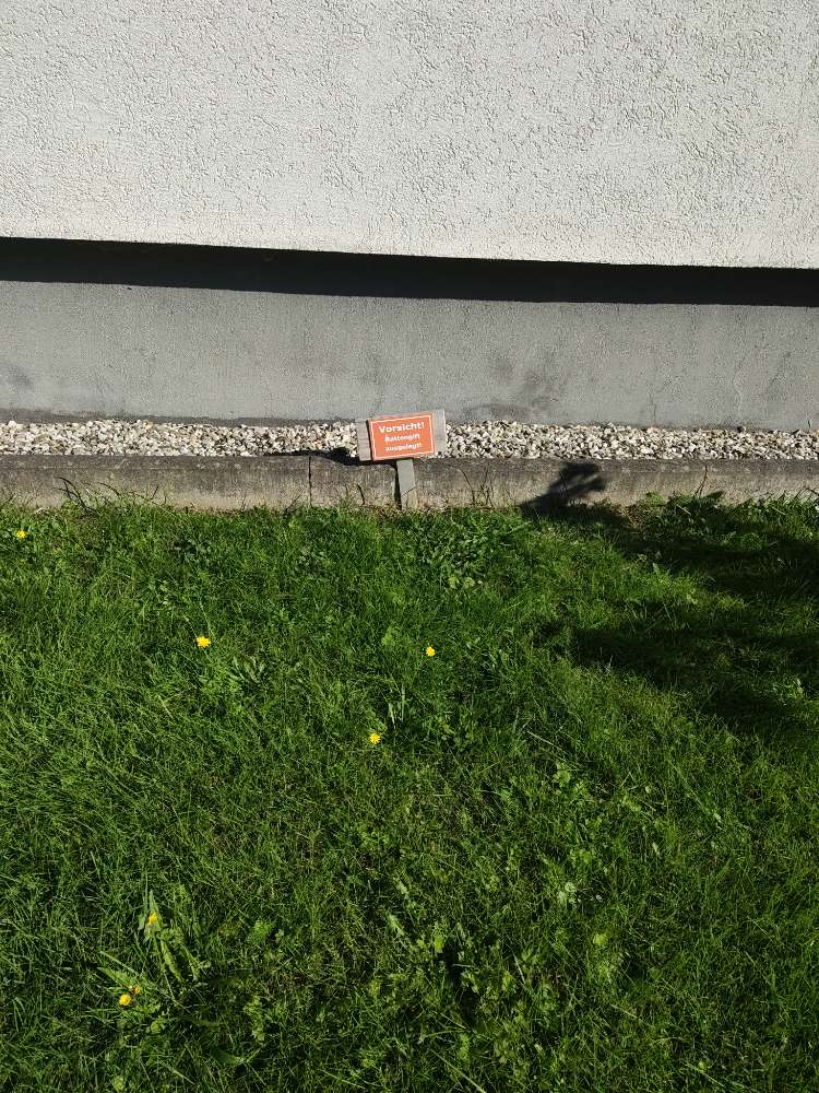 Giftköder-Rattengift-Profilbild