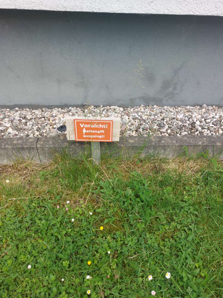 Giftköder-Rattengift-Profilbild