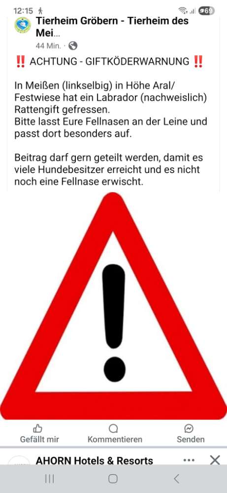 Giftköder-Giftköder-Profilbild