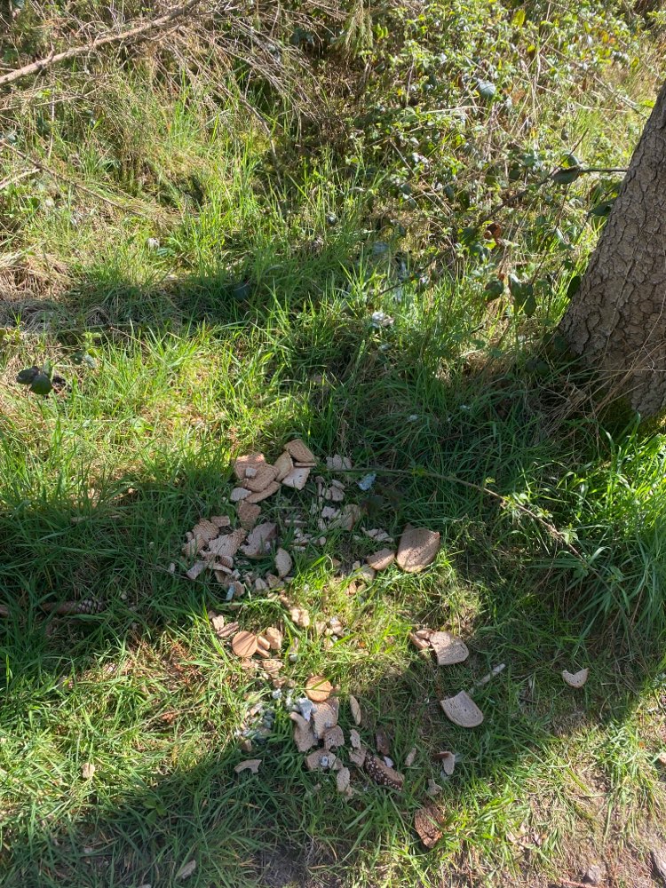 Giftköder-Brot/Keksreste mit blauer Substanz-Profilbild