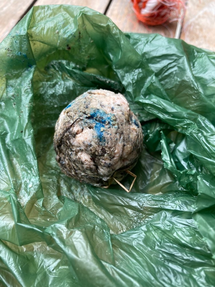 Giftköder-Giftköder-Kugel in Velen-Profilbild