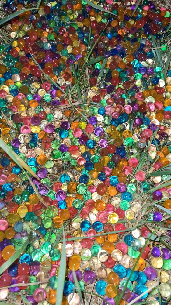 Giftköder-Komische Jellybubbels am Grünstreifen-Profilbild