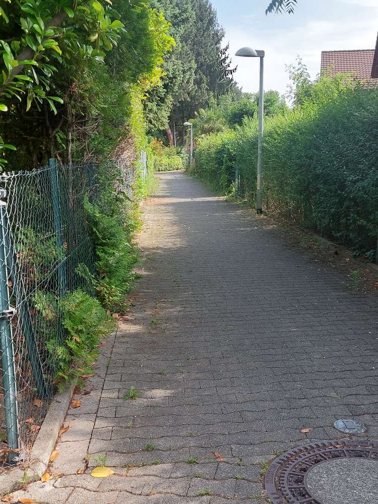 Giftköder-Schneckenkorn-Profilbild