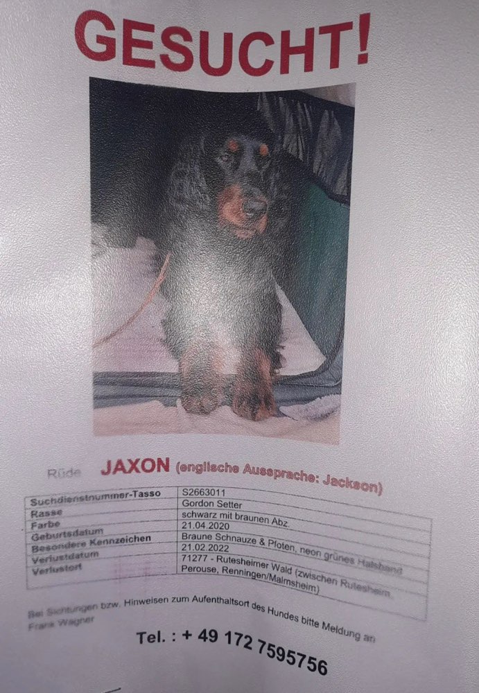 Suchmeldung-Jaxon-Profilbild