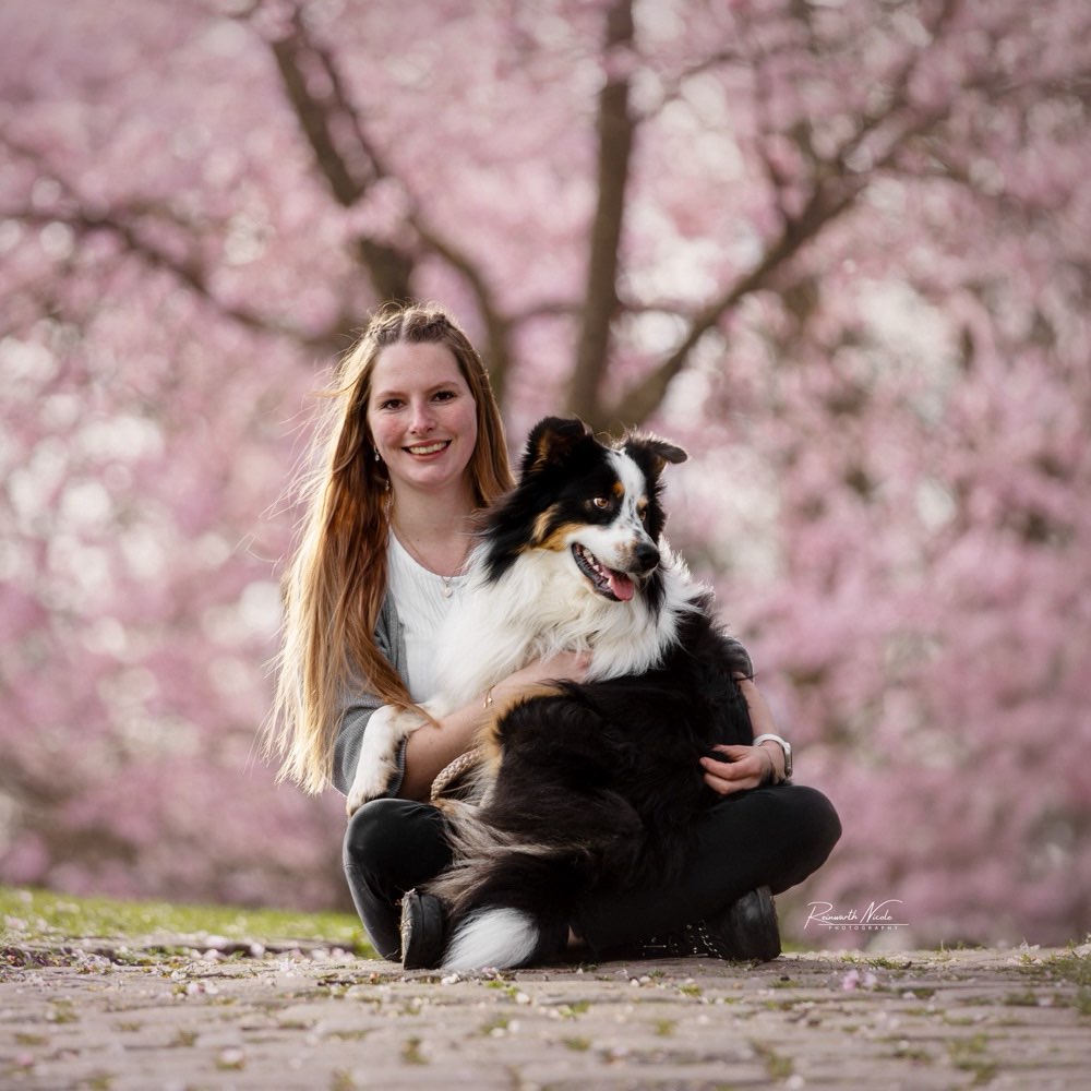 Hundetreffen-Training und Spiel 🐾-Profilbild