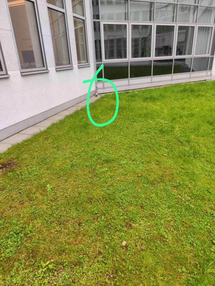 Giftköder-Rattengift-Profilbild