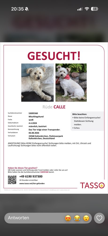 Suchmeldung-Calle-Profilbild