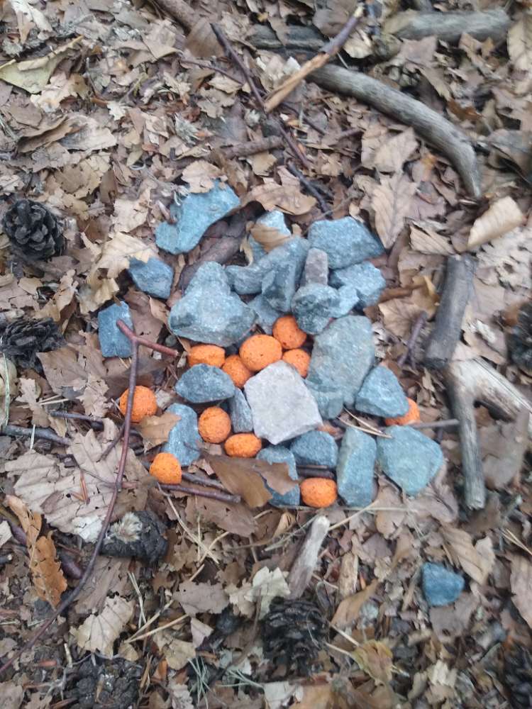 Giftköder-Möglicher Giftköder-Profilbild