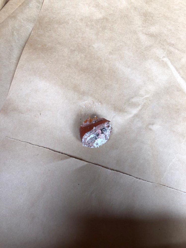 Giftköder-Giftköder-Profilbild