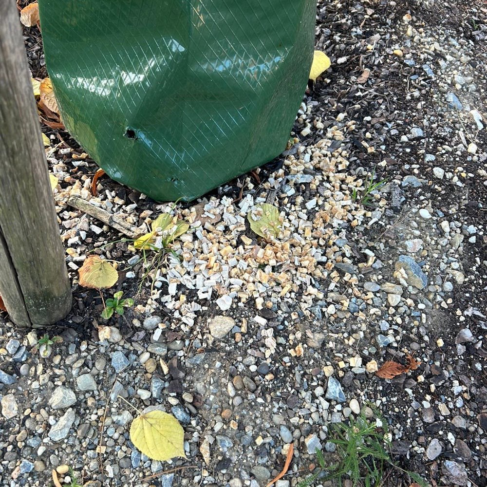 Giftköder-Giftköder !-Profilbild