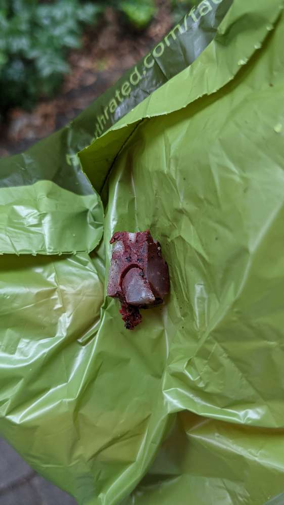 Giftköder-Ausgelegte Blutwurst-Profilbild