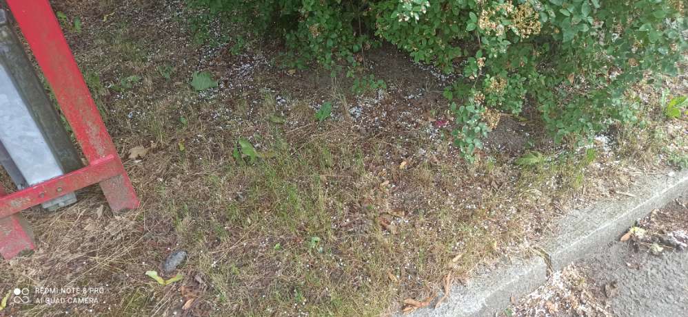 Giftköder-Weiße kleine Kugeln-Profilbild