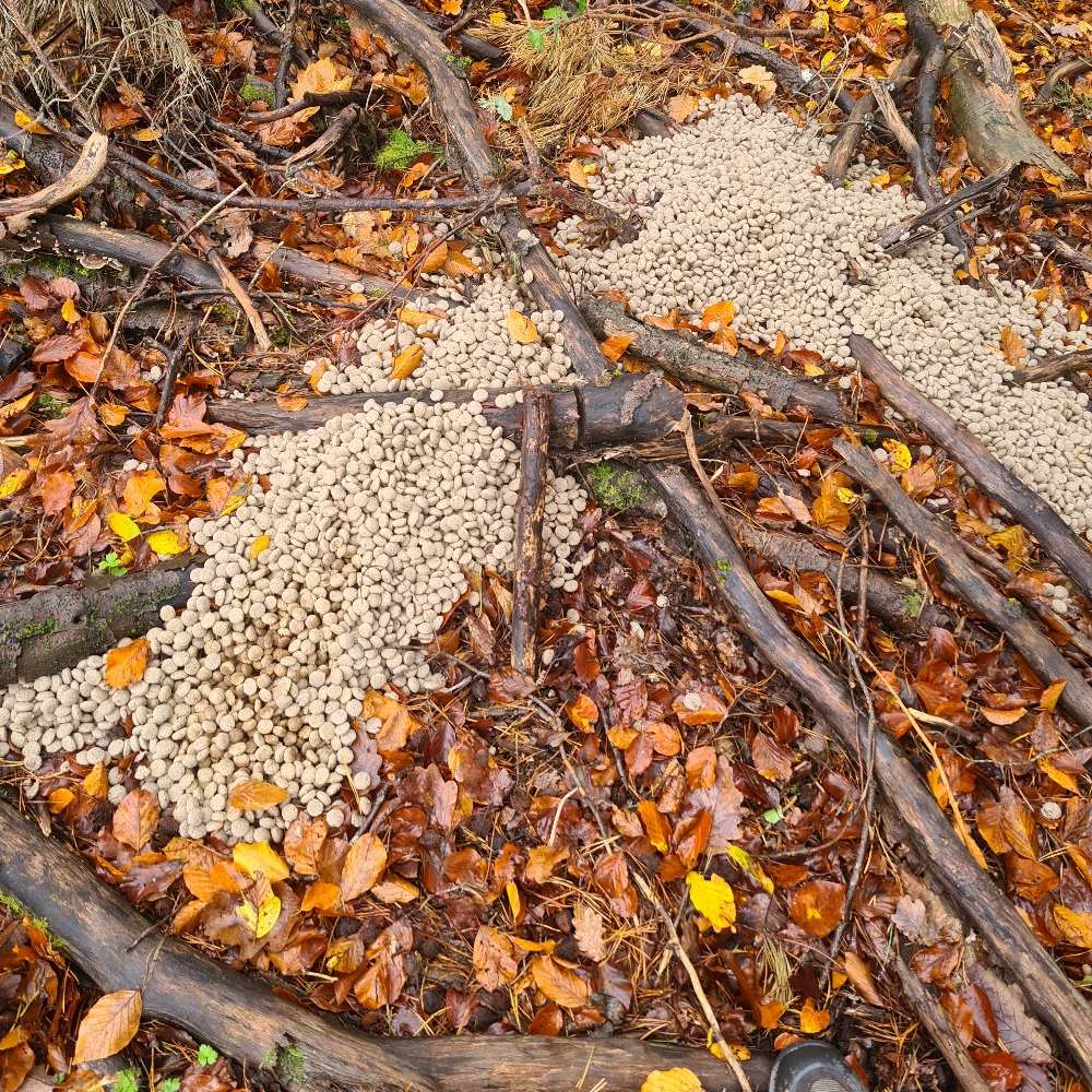 Giftköder-Verdächtiges Hundefutter-Profilbild