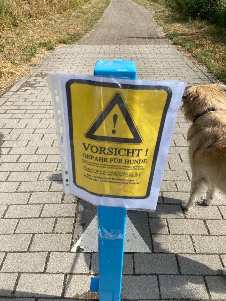 Giftköder-Giftköder gefunden-Profilbild