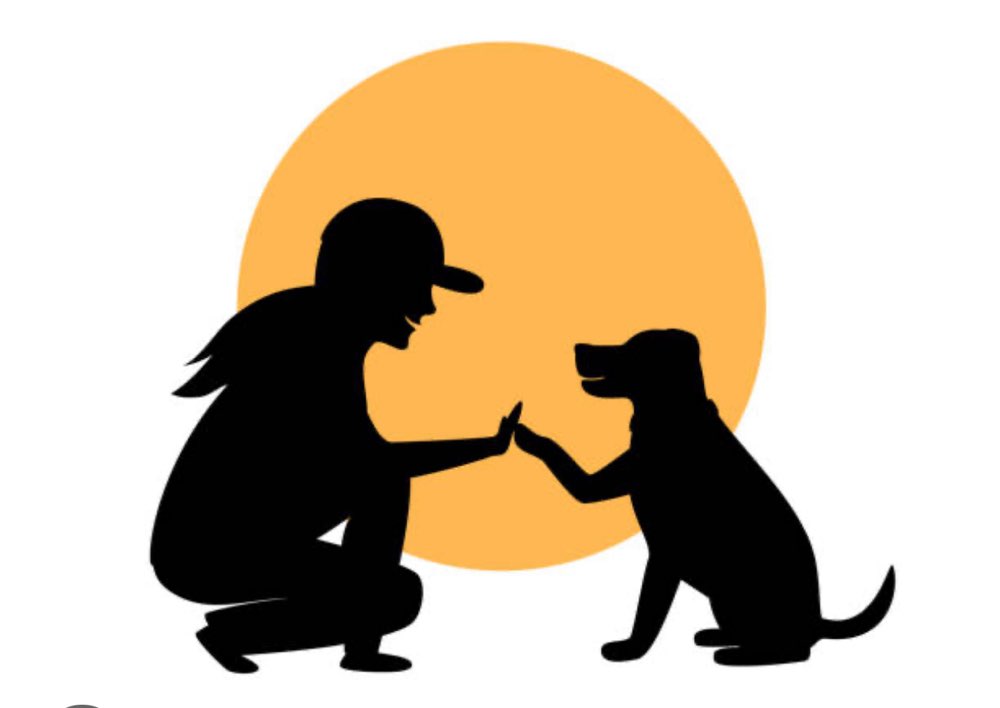 Hundetreffen-Hund Training-Profilbild
