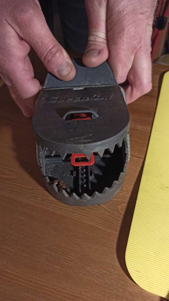 Giftköder-Schlagfalle gefunden😡-Profilbild