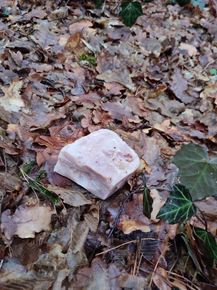 Giftköder-Eventuell Giftköder-Profilbild