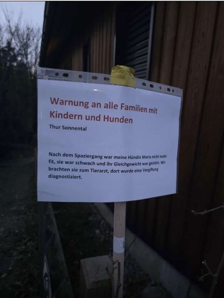 Giftköder-Hund vergiftet-Profilbild