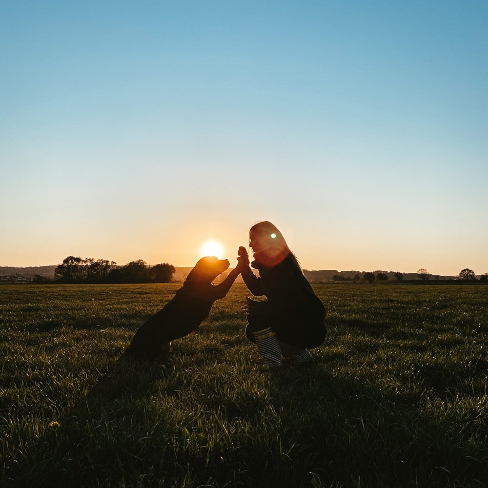 Hundetreffen-Social Walk-Profilbild