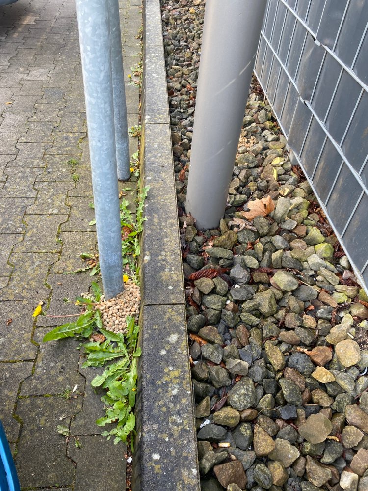 Giftköder-Trockenfutter mit Glasscherben-Profilbild