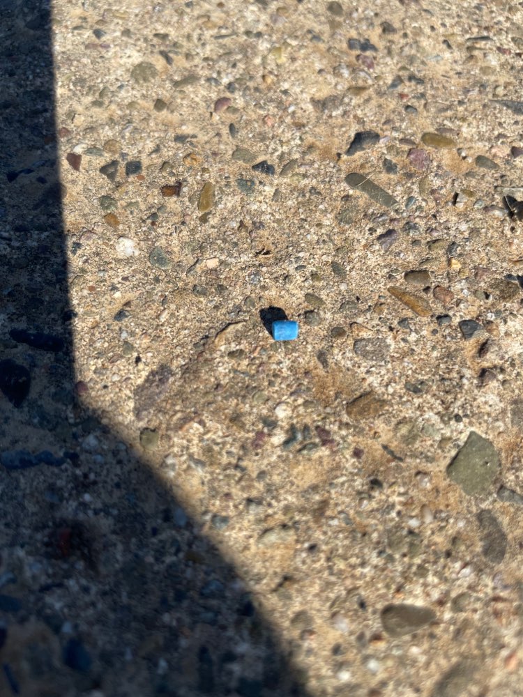 Giftköder-Blaues Schneckenkorn-Profilbild