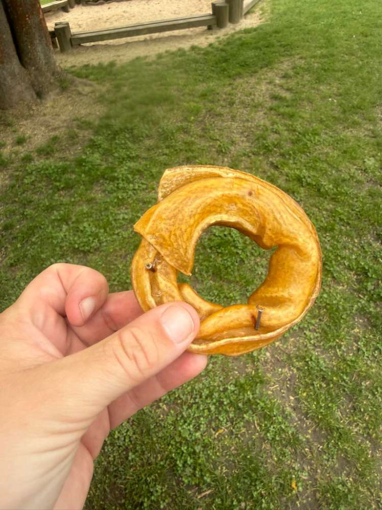 Giftköder-Achtung Giftköder-Profilbild