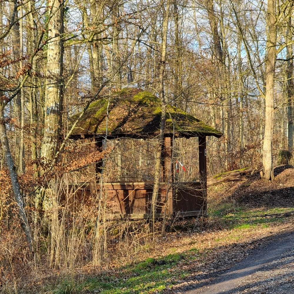 Hundetreffen-Sozial Walk-Profilbild