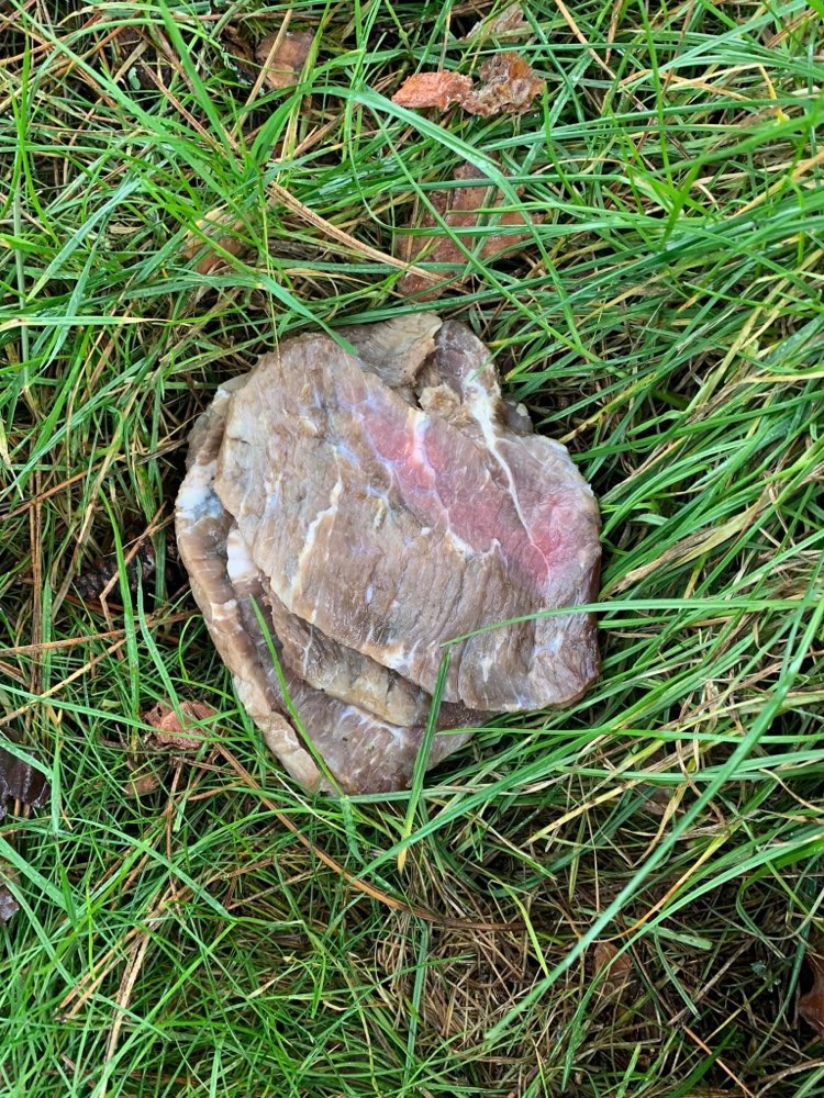 Giftköder-Abgelegte Fleischstücke-Profilbild