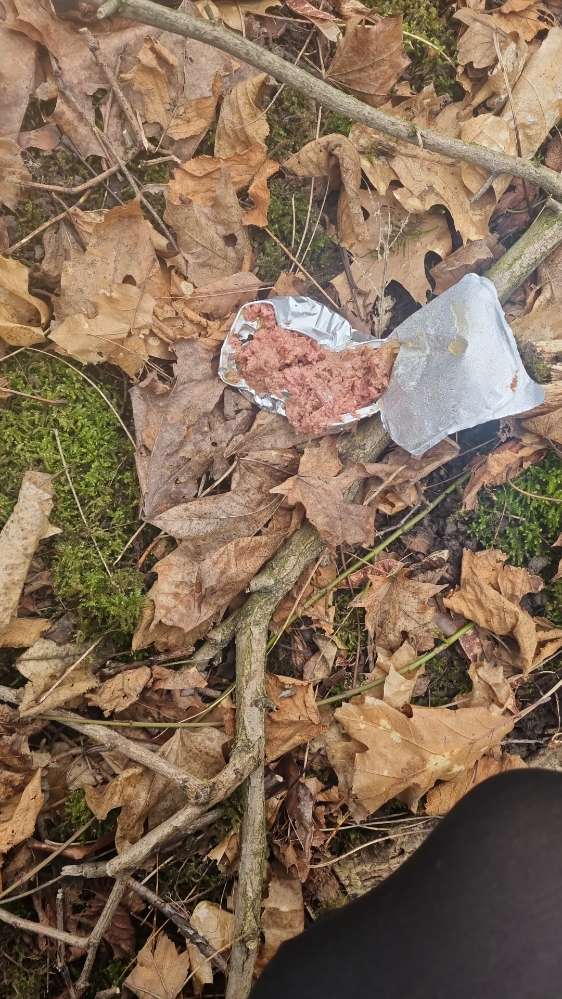 Giftköder-Möglicher Giftköder-Profilbild