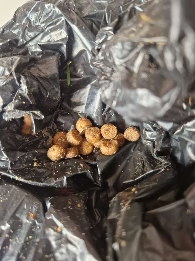 Giftköder-Ausgelegtes Trockenfutter evtl. giftig-Profilbild