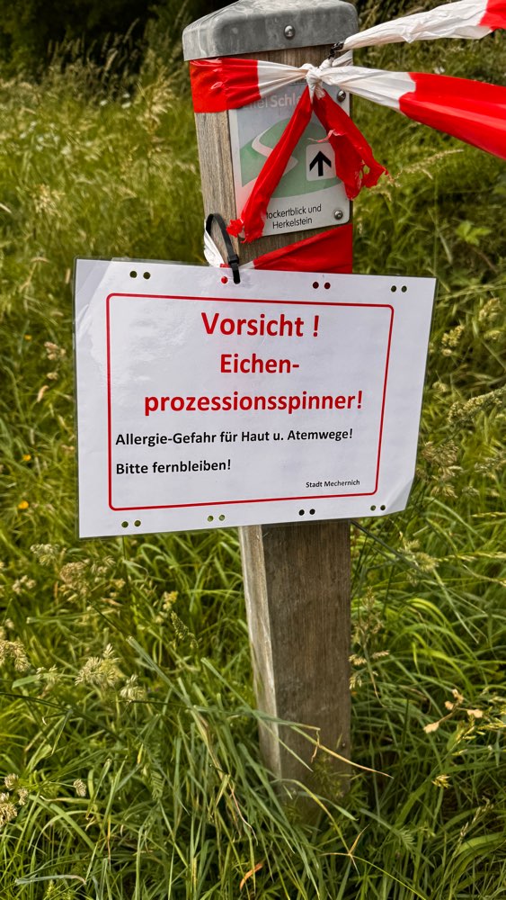 Giftköder-Eichenprozessionsspinner-Profilbild
