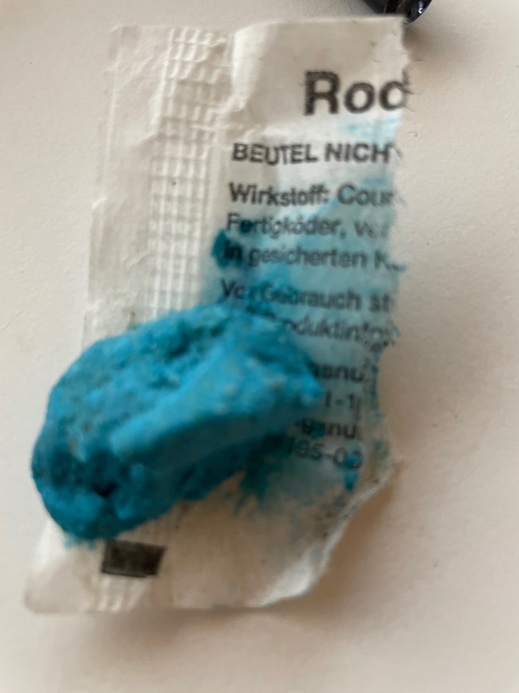 Giftköder-Giftköder-Profilbild