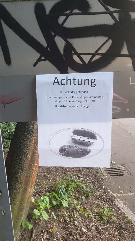 Giftköder-Köder mit Rasierklingen-Profilbild