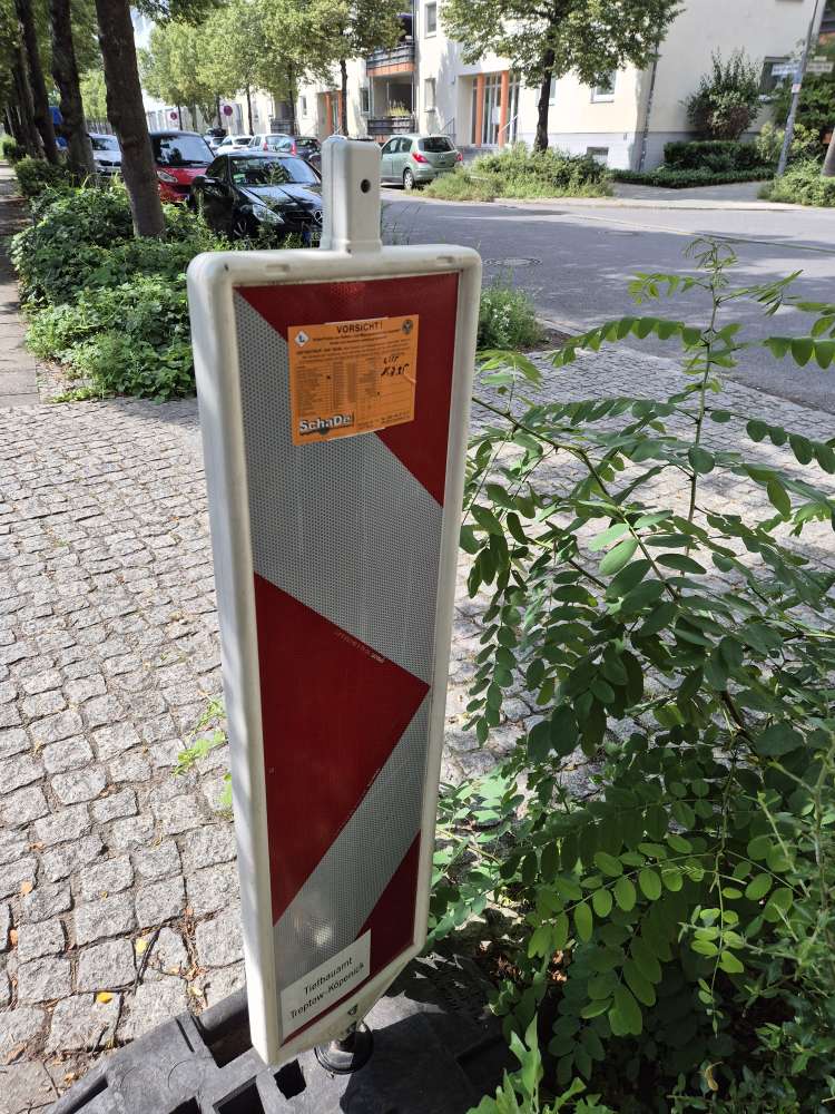 Giftköder-Rattengift ausgelegt 15.7-Profilbild