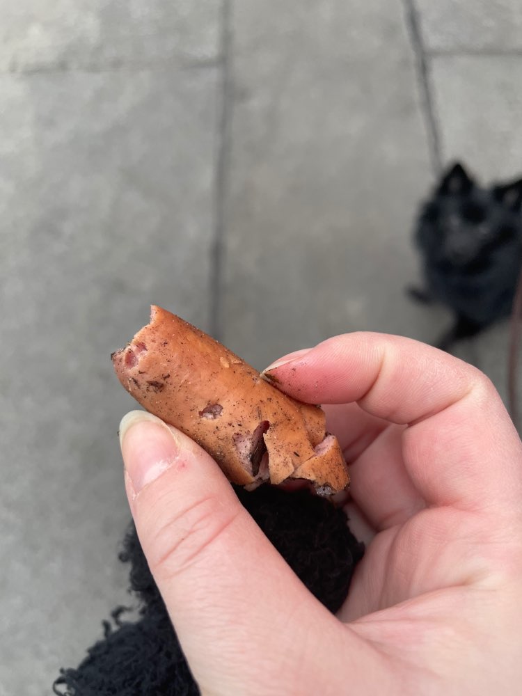 Giftköder-Verdächtiges Stück Wurst-Profilbild