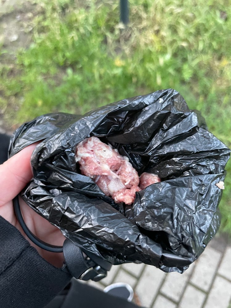 Giftköder-Vermutlich ausgelegtes Fleisch-Profilbild