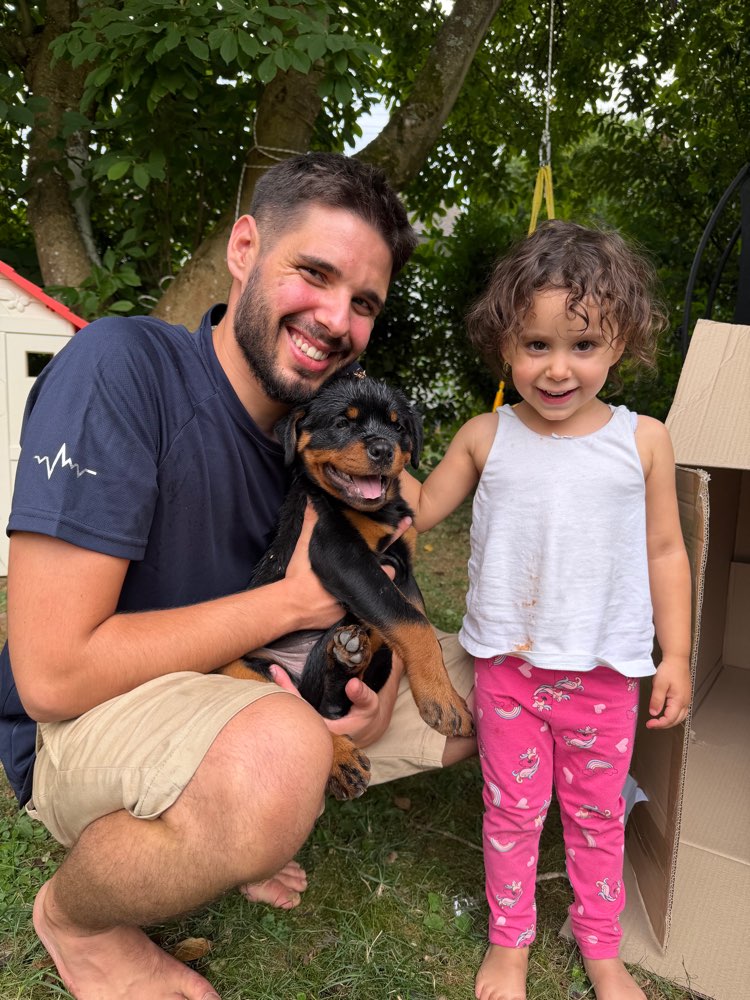 Hundetreffen-Welpe sucht Freunde-Profilbild