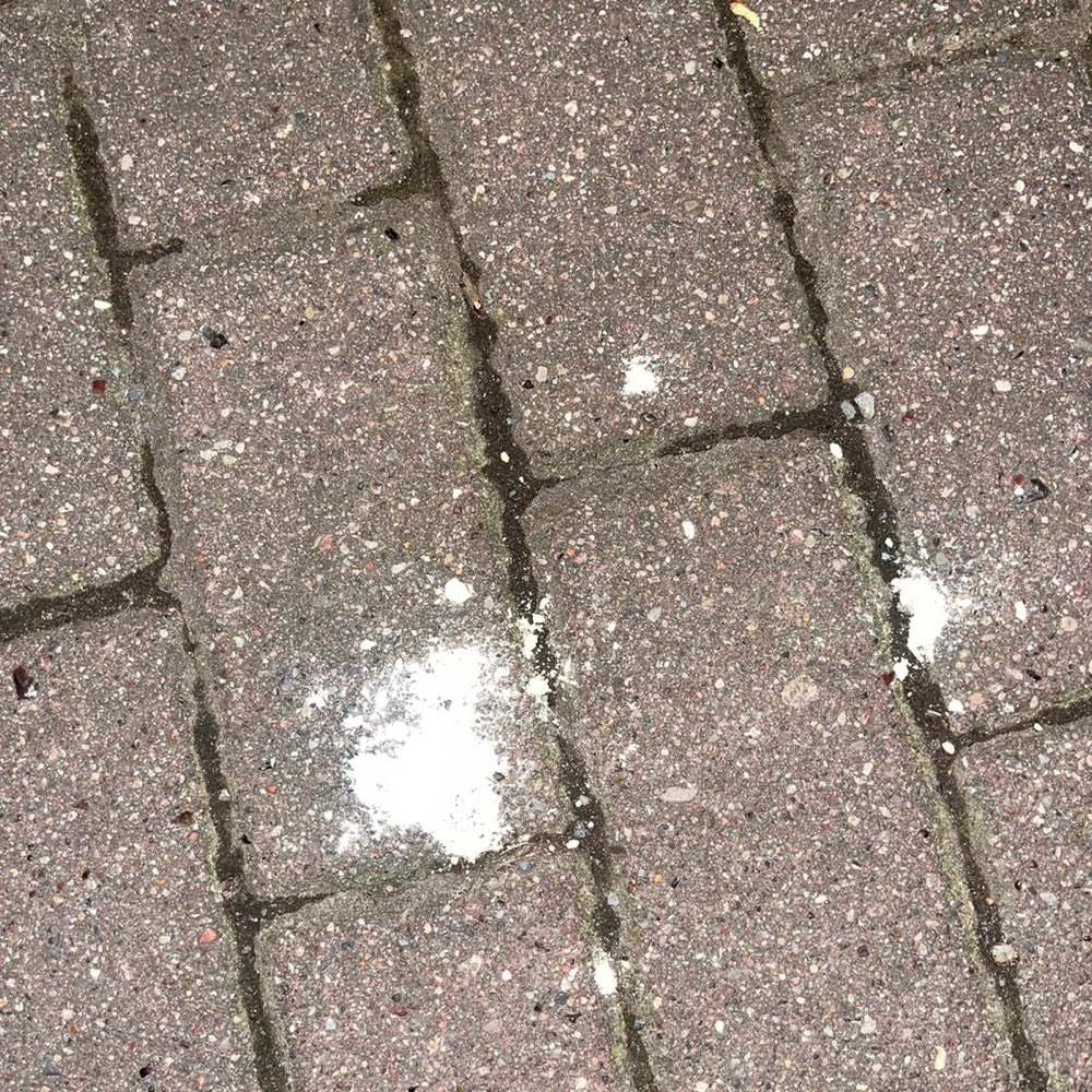 Giftköder-WEISSES PULVER AN MEHREREN STELLEN-Profilbild