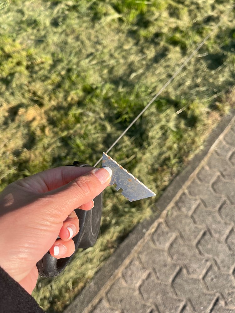 Giftköder-Klingen-Profilbild