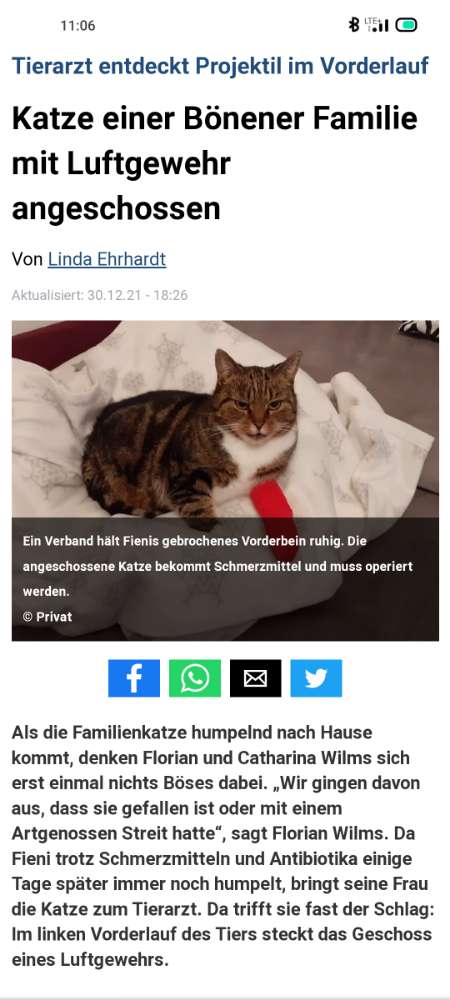 Giftköder-Katze mit Luftgewehr angeschossen-Profilbild
