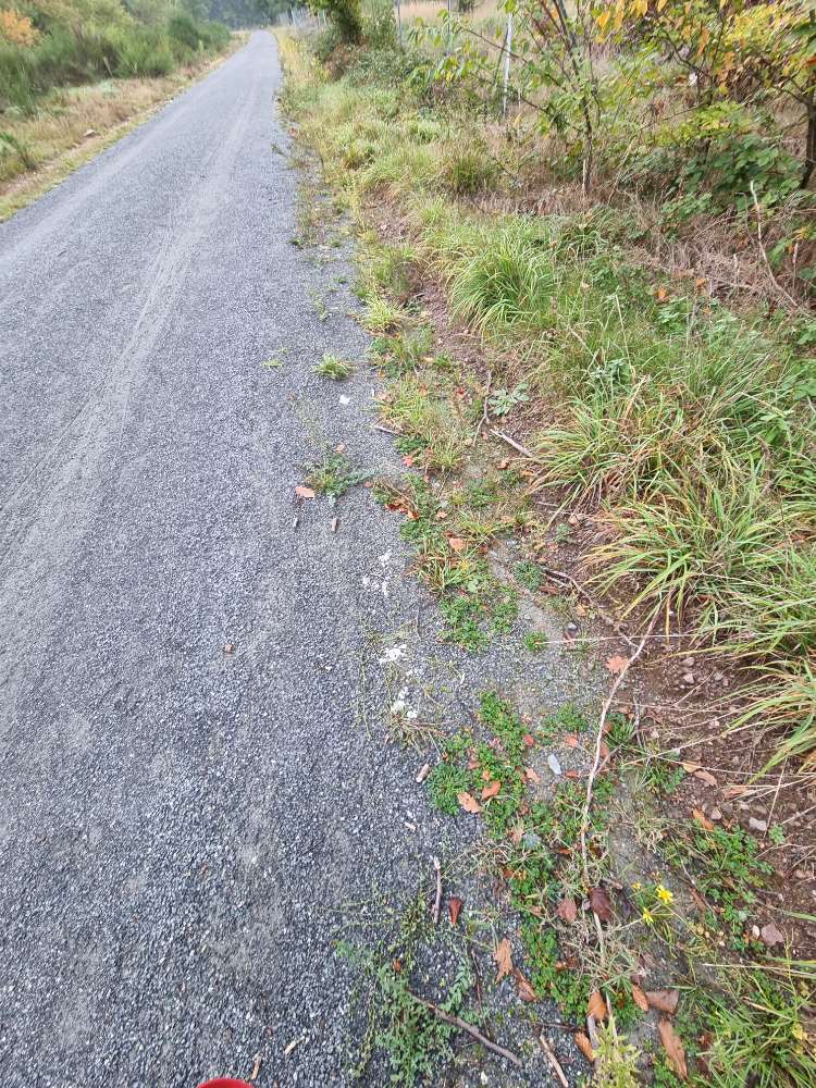 Giftköder-Verdächtig aussehendes weißes Pulver-Profilbild