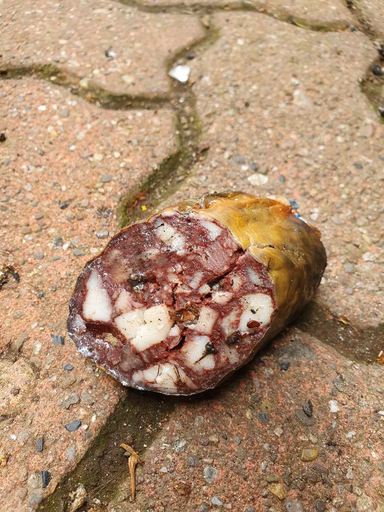 Giftköder-Fleischwurst evtl. Giftköder-Profilbild