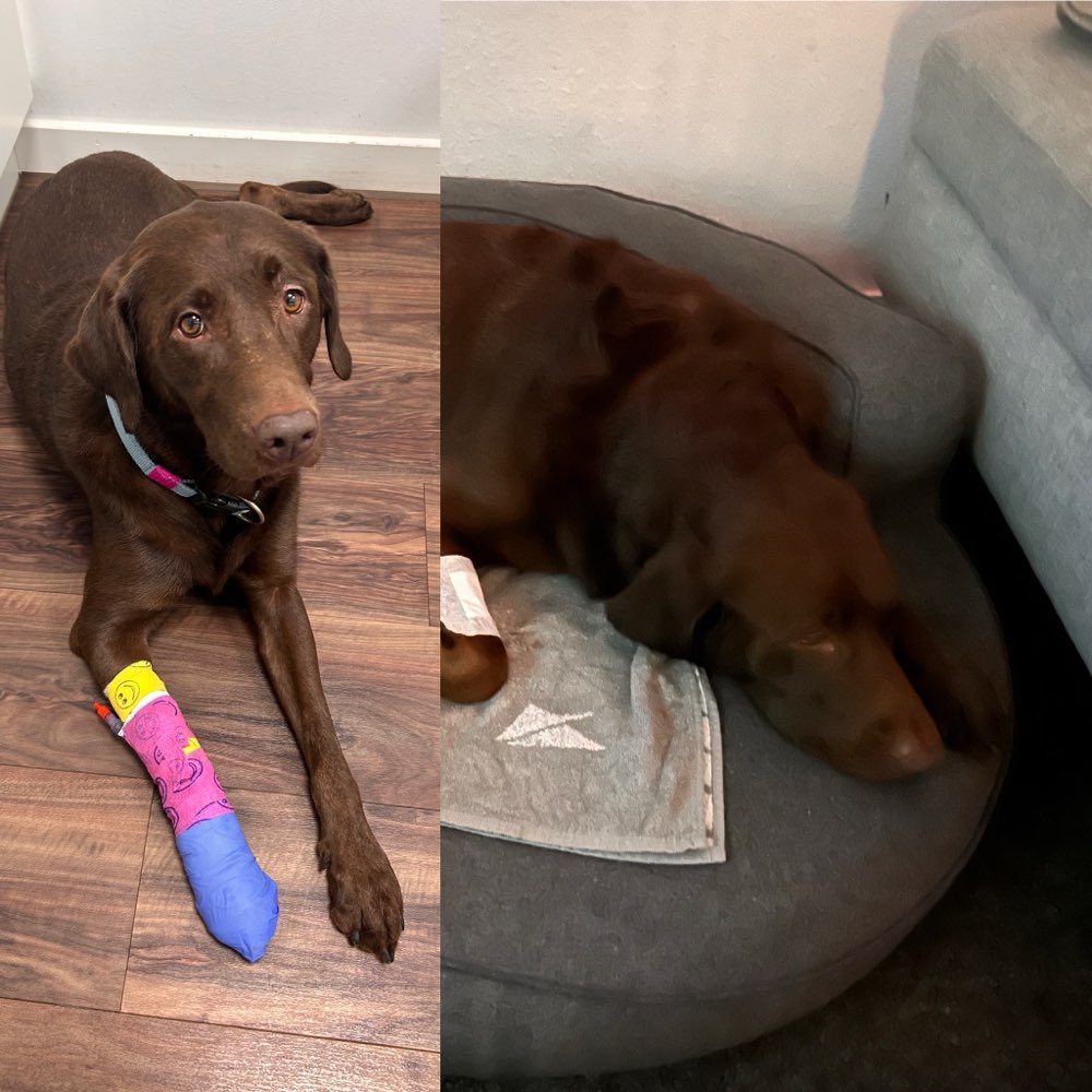 Giftköder-Giftköder am Werdersee-Profilbild