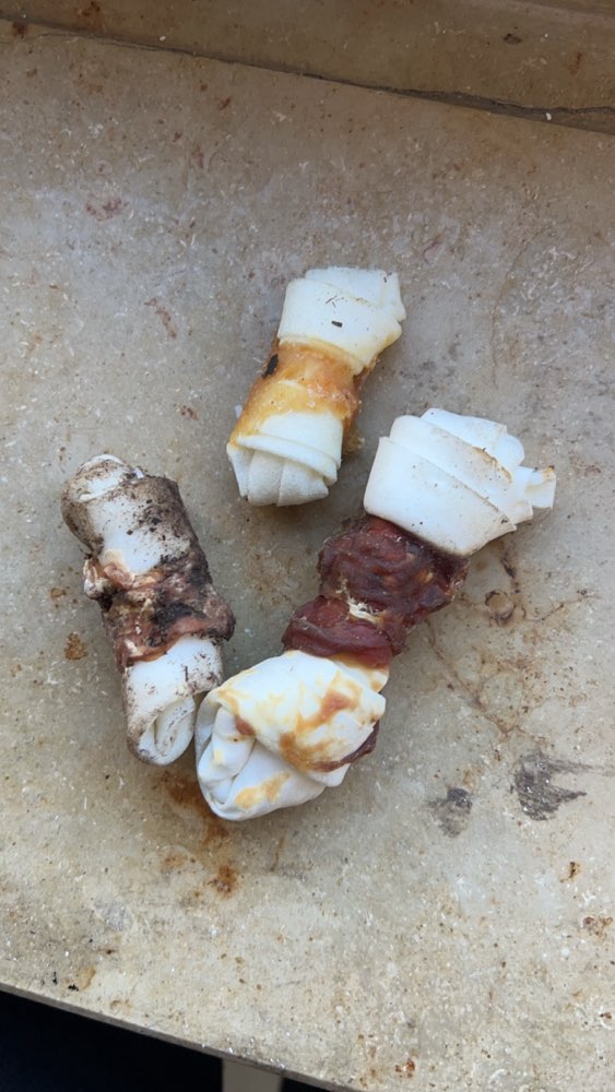 Giftköder-Kauartikel im Wald verteilt gefunden-Profilbild