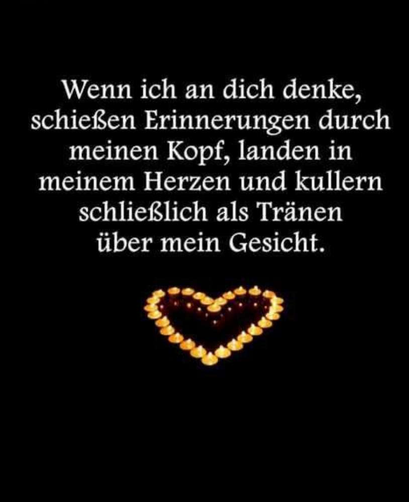 Euer Lieblingsspruch in Verbindung mit Eurer Fellnase Banner