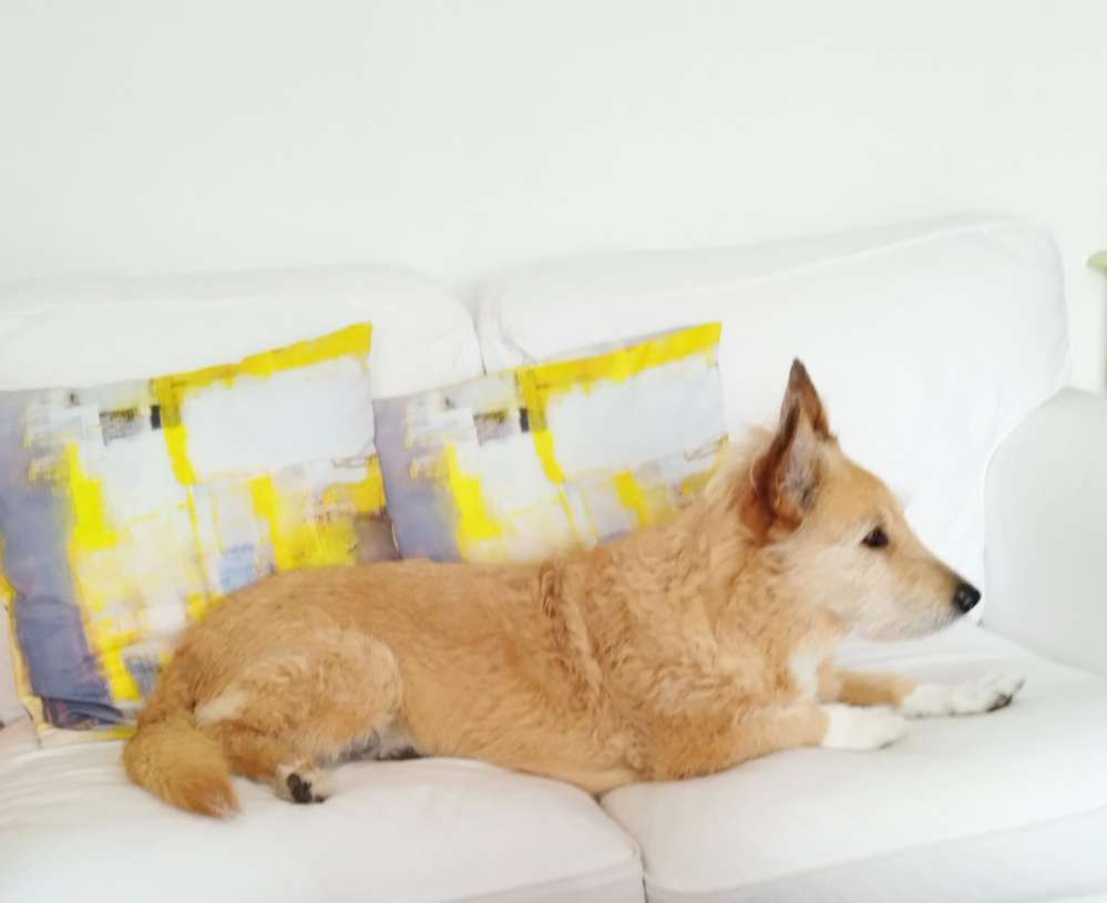 148. Wettbewerb Farbenchallenge Banner