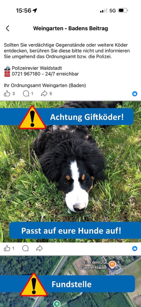 Giftköder-Giftköder-Profilbild